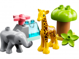 Fauna Salvaje de África 2023