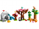 Fauna Salvaje de Asia 2023