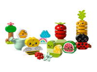 Huerto Orgánico 2023