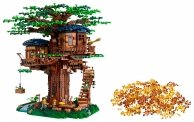 Casa del Árbol 2023