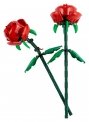 Rosas 2023