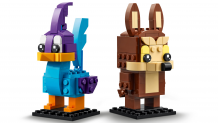 Correcaminos y Coyote 2022